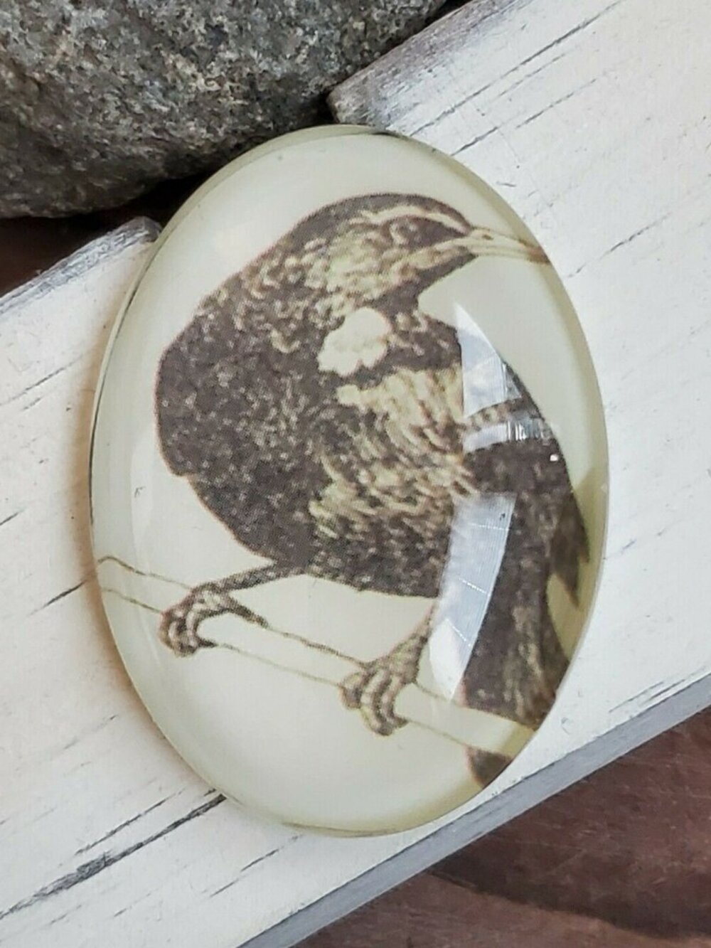 Edgar Allan Poe The Raven Victorian Gothic Bird Glass Oval Cabochon 40x30mm